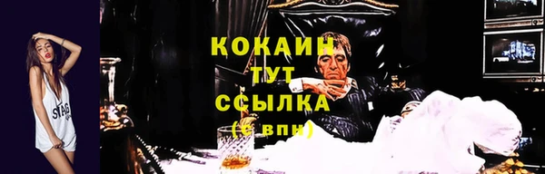 прущие грибы Беломорск