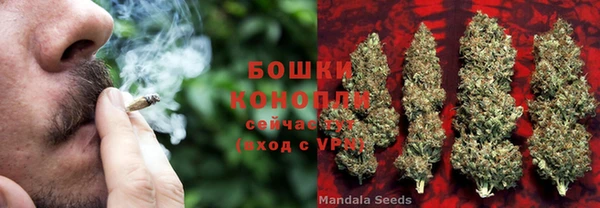 стаф Белоозёрский