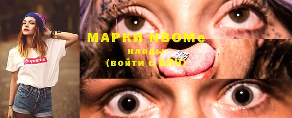 прущие грибы Беломорск