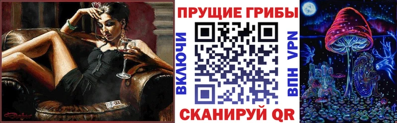 Галлюциногенные грибы Cubensis  Горячий Ключ 