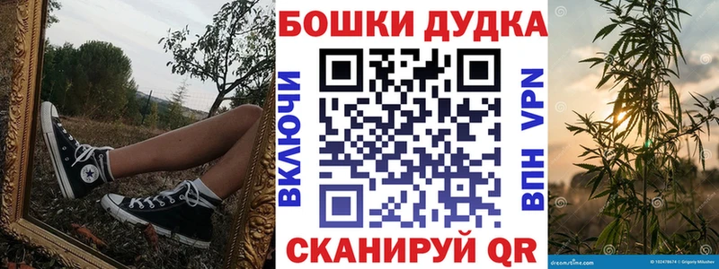 Шишки марихуана планчик  где найти   Горячий Ключ 